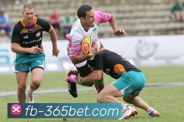 365bet平台生态图