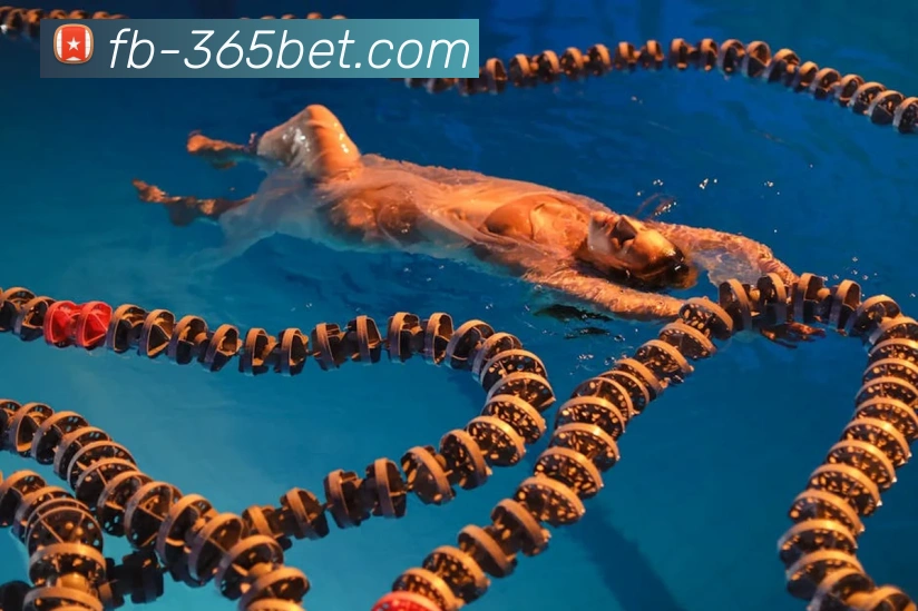 辅助工具 辅助工具